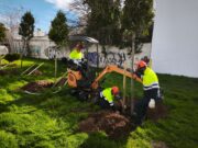 Vilanova i la Geltrú inicia la plantació de més de 300 arbres a la ciutat