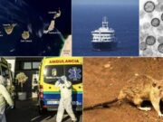L’Institut Coordenades reclama una resposta estatal davant la crisi del MV Hondius