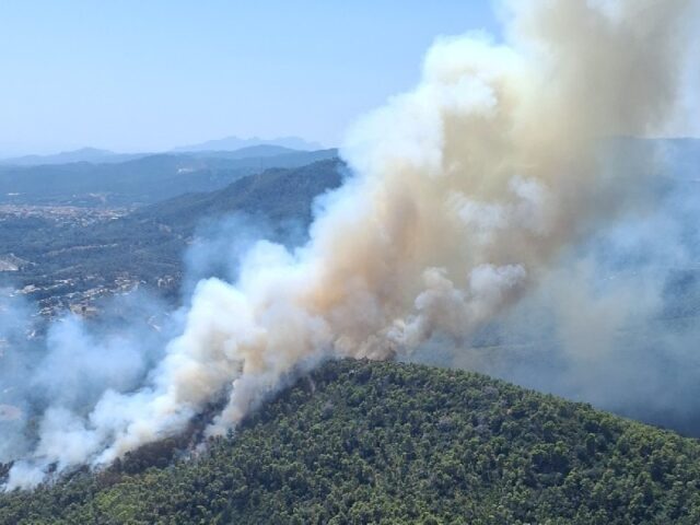 noticia_1783355603.jpg