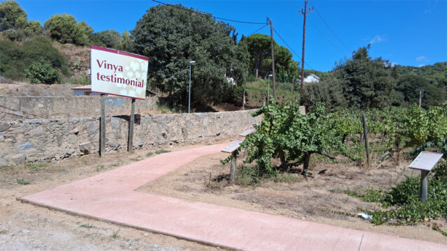 noticia_1789565235.jpg